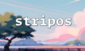 Stripos Search failed and returns false. How to handle it elegantly?