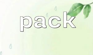 用pack() 創建網絡協議的二進制數據包