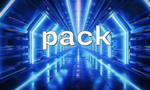 使用 pack() 时常见的“格式码错误”问题分析