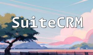 So stellen Sie die Datenreinigungsfunktion von SuiteCRM über PHP an