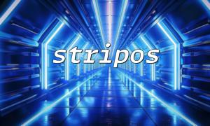 Implementation of stripos application in product search function
