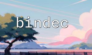 bindec() 可以用于处理来自用户表单的输入吗？