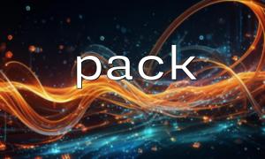 pack() 在 Socket 通信中的应用实例