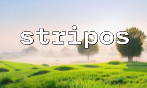 stripos + substr_replace implements inserting content into strings