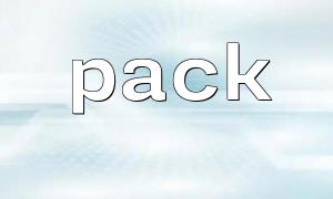 编写支持版本兼容的 pack() 数据格式管理工具类