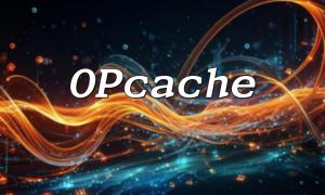 PHP Opcache 문제를 디버깅하고 로그하는 방법