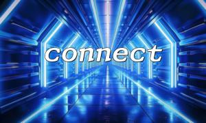 Verwenden Sie Umgebungsvariablen, um die Parameterinformationen von Connect () sicher zu verwalten