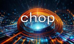 성능 고려 사항 chop ()를 사용하여 대량의 데이터에서 송금 종료 문자를 처리 할 때